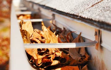 Staylittle gutter cleaning companies